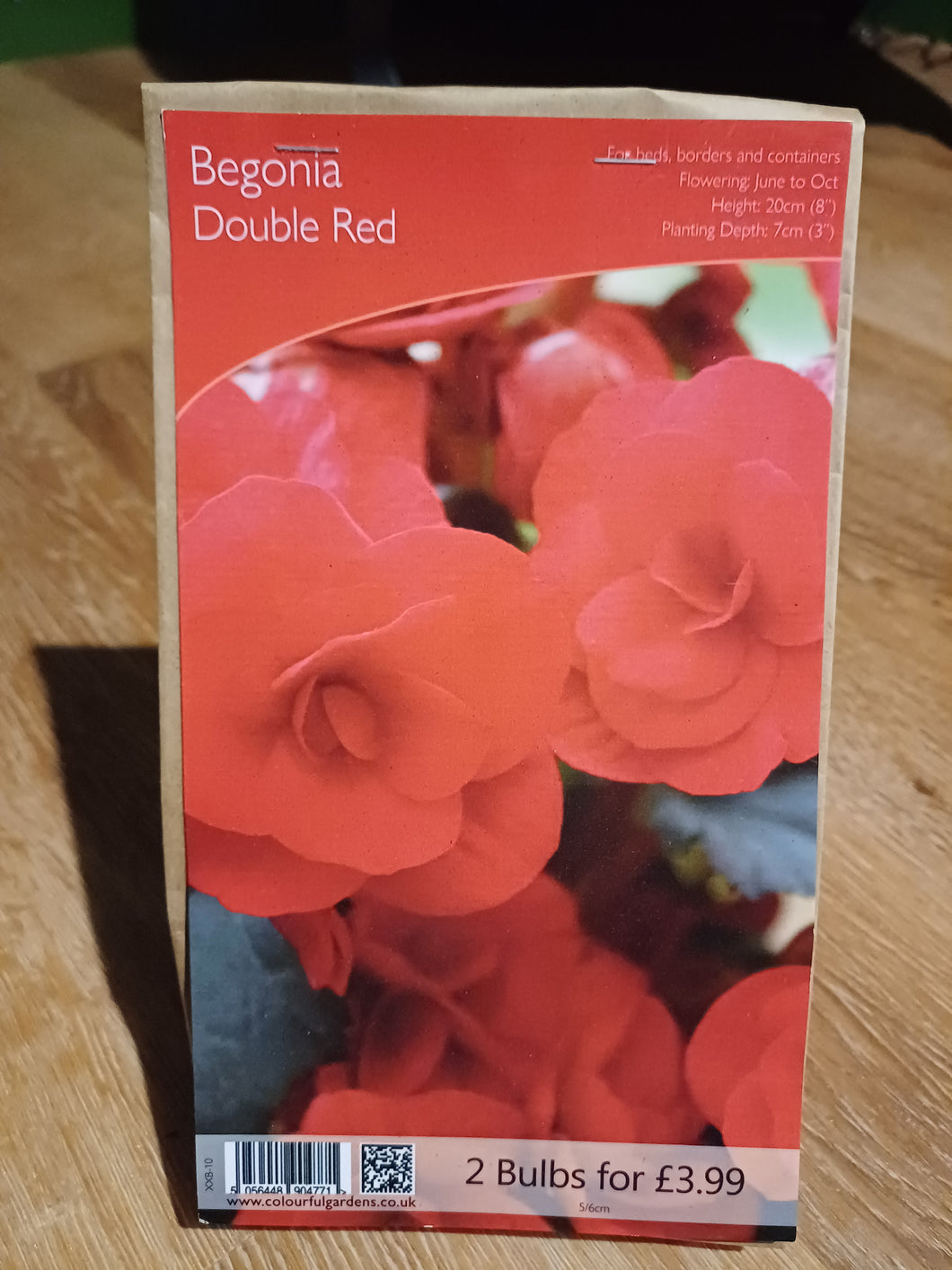 🌸 Begonia Double Red 2 Bulbs