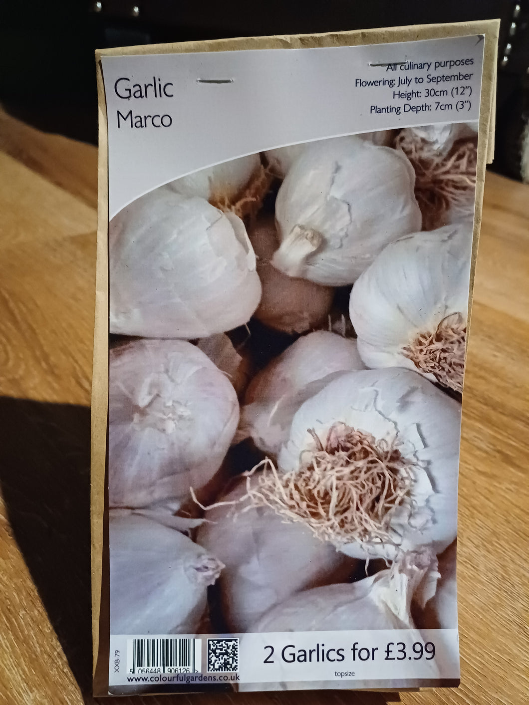 🧄 Garlic Marco 2 Garlic