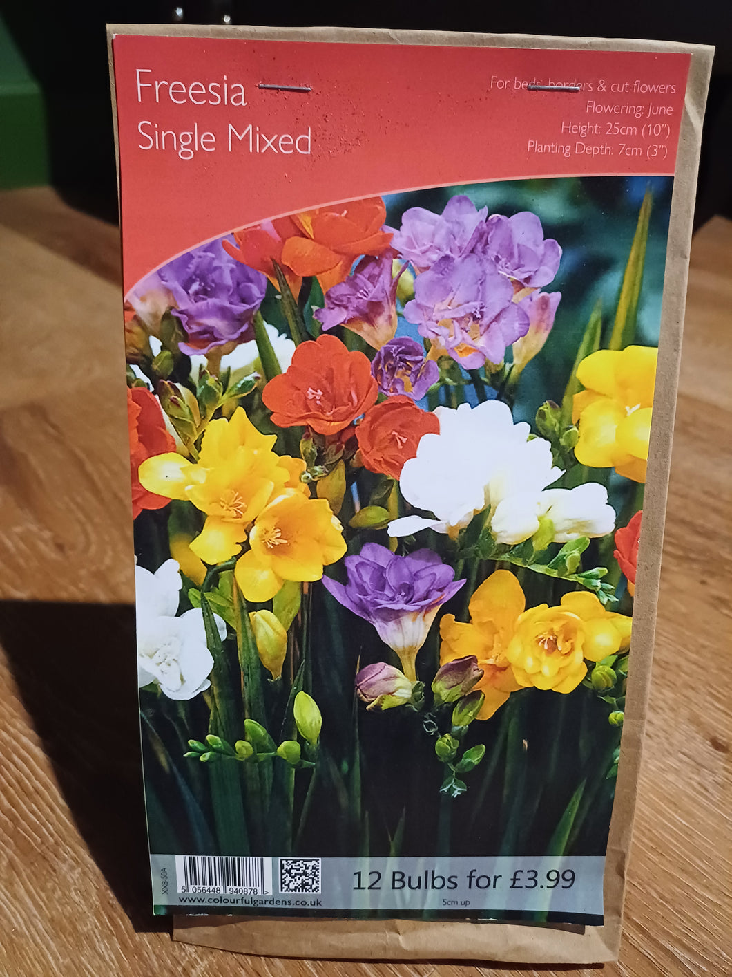 🌸 Freesia Single Mixed 12 bulbs