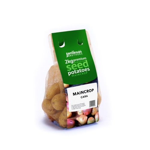 🥔 2kg Jamieson CARA Seed Potatoes MAINCROP