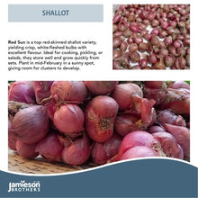 Load image into Gallery viewer, Jamieson Bros PREMIUM - Red Sun Shallot 400g
