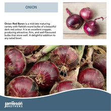 Load image into Gallery viewer, Jamieson Bros PREMIUM - Red Baron Onion 50pc
