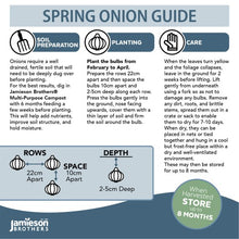 Load image into Gallery viewer, Jamieson Bros PREMIUM - Red Baron Onion 50pc
