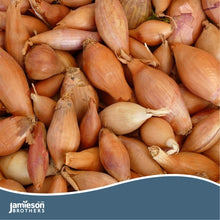 Load image into Gallery viewer, Jamieson Bros PREMIUM - Golden Gourmet Shallots 400g
