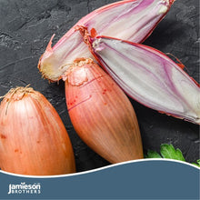Load image into Gallery viewer, Jamieson Bros PREMIUM - Red Sun Shallot 400g
