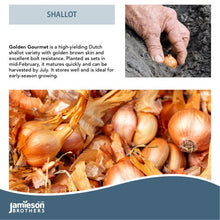 Load image into Gallery viewer, Jamieson Bros PREMIUM - Golden Gourmet Shallots 400g
