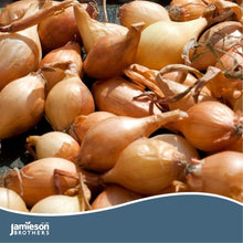 Load image into Gallery viewer, Jamieson Bros PREMIUM - Sturon Onion 50pc
