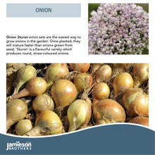 Load image into Gallery viewer, Jamieson Bros PREMIUM - Sturon Onion 50pc

